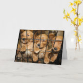 Het Is Tijd Om Er Uit Te Breken Pensioen Humor Kaart (Gele Bloem)