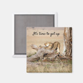 Het is tijd om op de foto van Lion te staan met te Magneet (Voorkant / Achterkant)