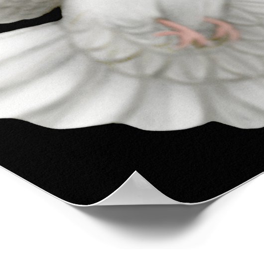 Het is tijd voor mij om Poster te vliegen (Hoek)