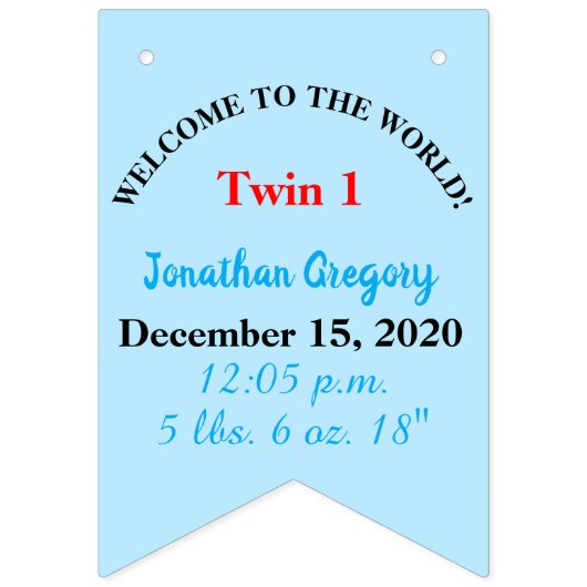 Het is Twins Boy's Bunting Banner (Derde vlag)