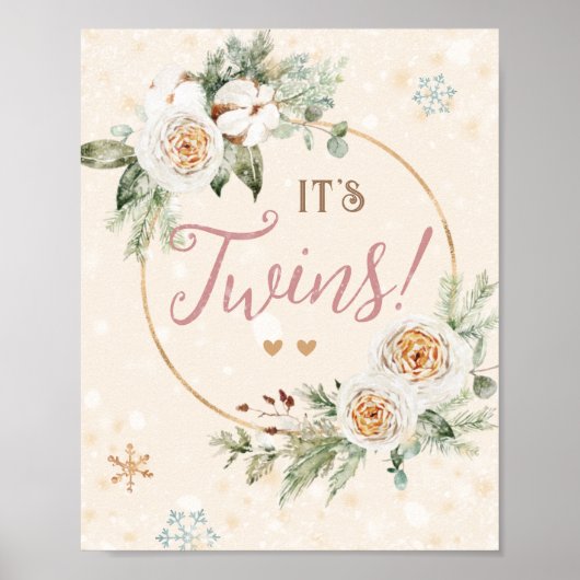 Het is Twins Winter Baby shower Sprinkle Snowflake Poster (Voorkant)