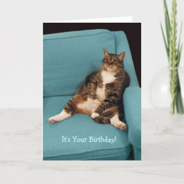 Het is Uw Wenskaart van de Kat van de Gestreepte Kaart