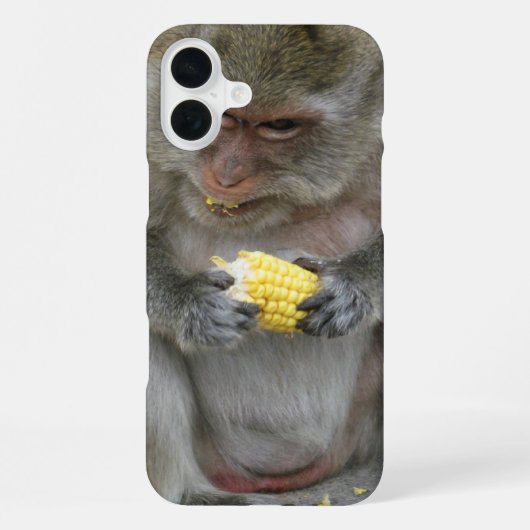 Het is van mij!! ... Wilde Thaise Macaque aap iPhone Hoesje (Achterkant)