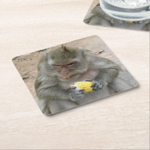 Het is van mij!! ... Wilde Thaise Macaque-aap Kartonnen Onderzetters