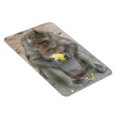 Het is van mij!! ... Wilde Thaise Macaque-aap Magneet (Rechterzijde)