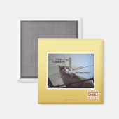 Het is voorbij mijn avondeten magneet (Voorkant / Achterkant)