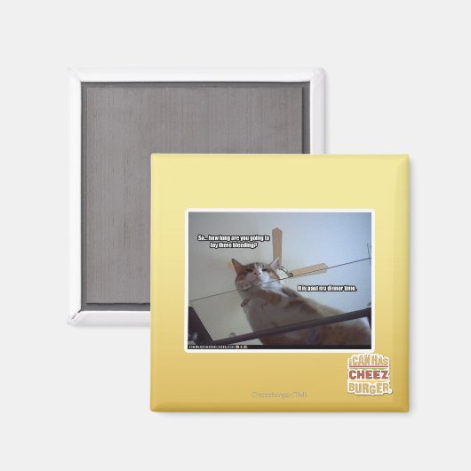 Het is voorbij mijn avondeten magneet (Voorkant / Achterkant)