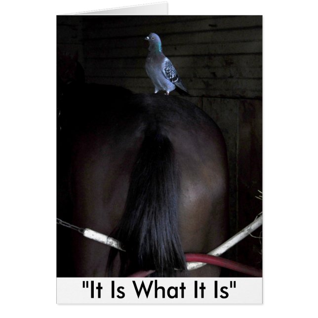 Het is wat het is (Voorkant)