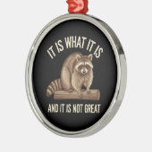 Het is wat het is en het is geen geweldige wasbeer metalen ornament (Links)