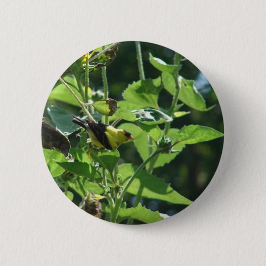 Het is weer gewoon onze paparazzi. Goldfinch Ronde Button 5,7 Cm (Voorkant)