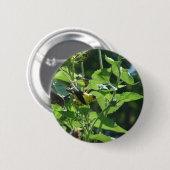Het is weer gewoon onze paparazzi. Goldfinch Ronde Button 5,7 Cm (Voorkant /achterkant)