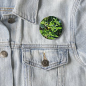 Het is weer gewoon onze paparazzi. Goldfinch Ronde Button 5,7 Cm (In situ)