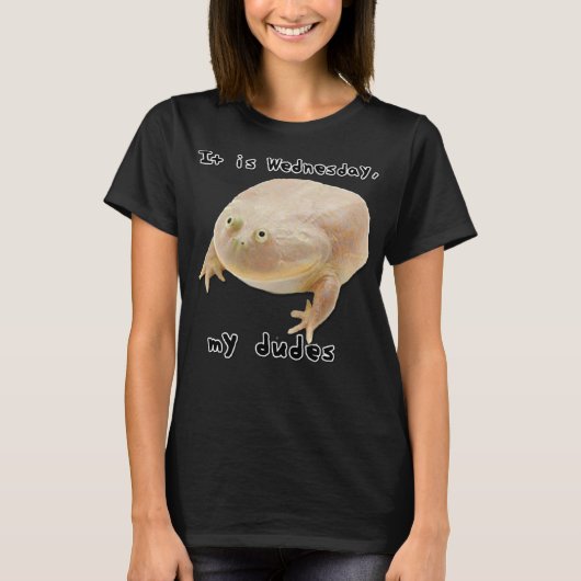 Het is woensdag mijn dudes grappny Classic Frog Me T-shirt (Voorkant)