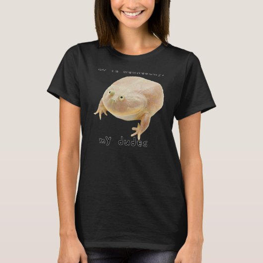 Het is woensdag My Dudes Classic Funny Frog Meme T-shirt (Voorkant)