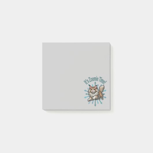 Het is Zoomie Tijd Maine Coon Kat Post-it® Notes (Voorkant)