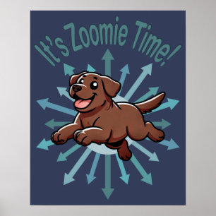 Het is Zoomie Time Chocolate Lab Poster