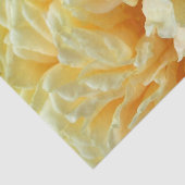 Het ivoor nam Papieren zakdoekje toe Tissuepapier (Detail)