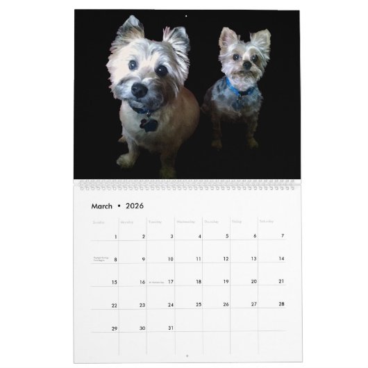 Het jaar met los en schoorsteen kalender (Mar 2026)