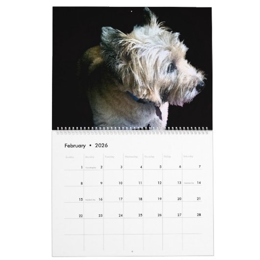 Het jaar met los en schoorsteen kalender (Feb 2026)