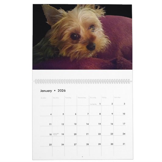 Het jaar met los en schoorsteen kalender (Jan 2026)