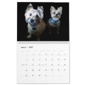 Het jaar met los en schoorsteen kalender (Mar 2027)