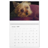 Het jaar met los en schoorsteen kalender (Jan 2027)
