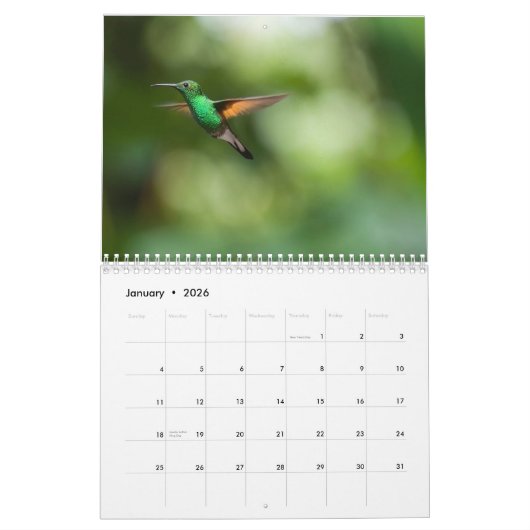 Het jaar van de kalender voor mensapen (Jan 2026)