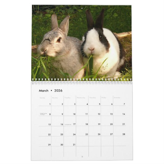 Het jaar van de konijnenkalender kalender (Mar 2026)
