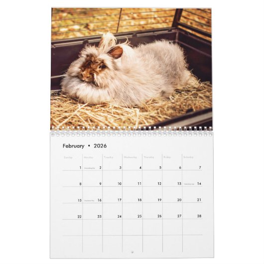 Het jaar van de konijnenkalender kalender (Feb 2026)