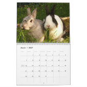 Het jaar van de konijnenkalender kalender (Mar 2027)