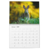 Het jaar van de konijnenkalender kalender (Jan 2027)