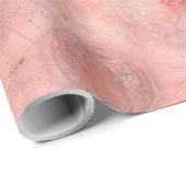 Het jaar van de tijger cadeaupapier (Rol Hoek)