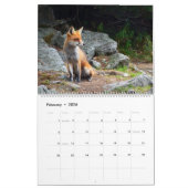 Het Jaar van de VOX-kalender Kalender (Feb 2026)