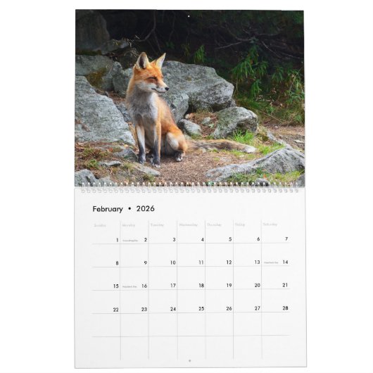 Het Jaar van de VOX-kalender Kalender (Feb 2026)