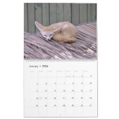 Het Jaar van de VOX-kalender Kalender (Jan 2026)