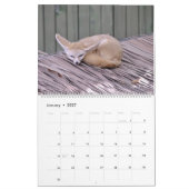 Het Jaar van de VOX-kalender Kalender (Jan 2027)