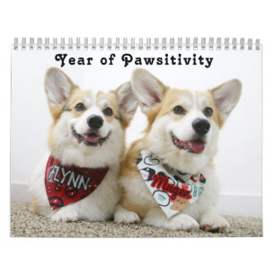 Het Jaar van Flynn & van Mugen van Pawsitivity Kalender