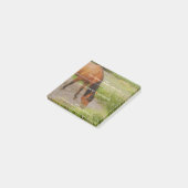 Het jaar van het Paard, 2026 citaat Post-it® Notes (Schuin)