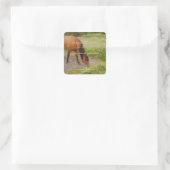 Het jaar van het Paard, 2026 citaat Vierkante Sticker (Tas)