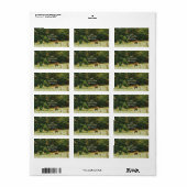 Het Jaar Van Het Paard, 2026, Etiket (Full Sheet)