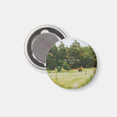 Het Jaar Van Het Paard, 2026, Magneet (Voorkant / Achterkant)