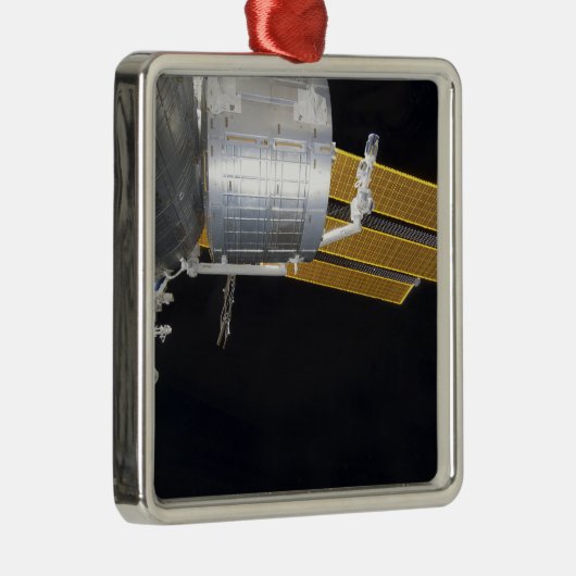 Het Japanse Kibo complex 2 Metalen Ornament (Rechts)