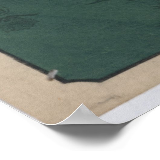 Het Japanse Uitzicht van de Shows van de Druk van  Poster (Hoek)