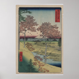 Het Japanse Uitzicht van de Shows van de Druk van Poster