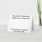 Het Japanse wenskaart van de Esdoorn Kaart (Achterkant)