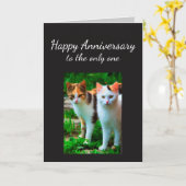 Het Jubileum hield van Één Humor van de Kat Kaart (Gele Bloem)