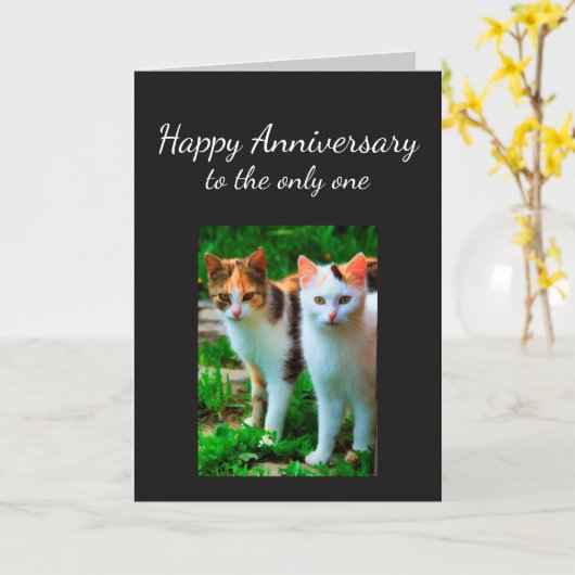 Het Jubileum hield van Één Humor van de Kat Kaart (Gele Bloem)