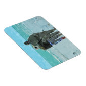 Het Jubileum loopt op de Abstracte Beach Magneet (Rechterzijde)