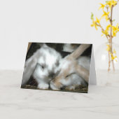 Het Jubileum van de Liefde van het konijntje Kaart (Gele Bloem)