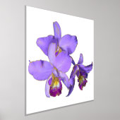 Het juiste Paarse Poster van de Druk van de Groep  (Laagn)